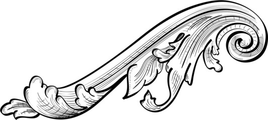 Acanthuse scrolling leaf