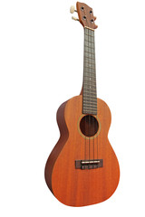 Obraz premium guitar isolated