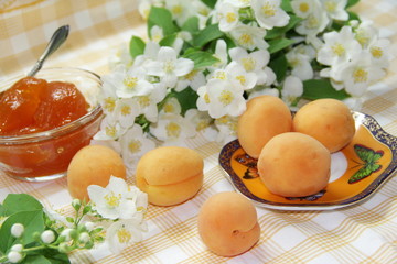 Apricot jam and ripe apricots