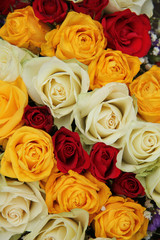 Yellow, white and red roses in a wedding arrangement