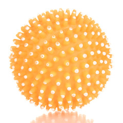 Rubber toy for dog  isolated on white