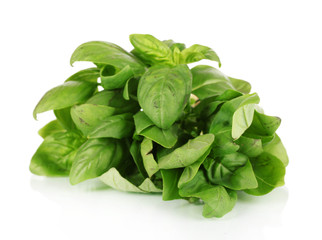 Fototapeta premium Green fresh basil isolated on white