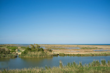Ebro delta landscape