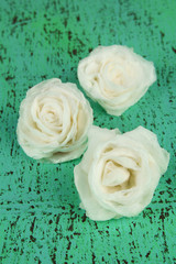 Sugar roses, on color background