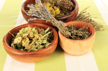 Medicinal Herbs in wooden bowls on striped tablecloth