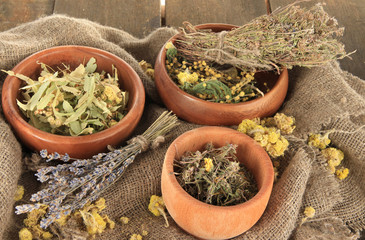 Medicinal Herbs in wooden bowls on bagging close-up