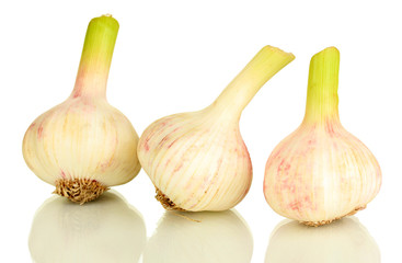 Fototapeta premium Garlic isolated on white