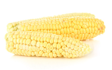 Fresh corn, isolated on white