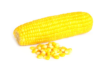Sweet boiled corn on white background