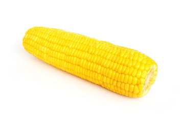 Sweet boiled corn on white background