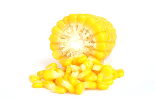 Sweet boiled corn on white background