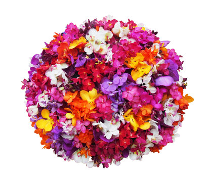 Fototapeta Orchid flower ball on a white background - with clipping path