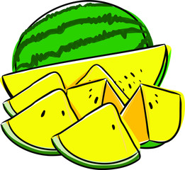 Hand drawn watermelon vector