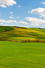 Tuscany Hills