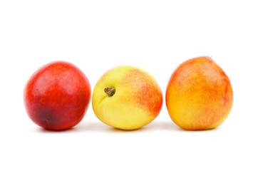 Three Nectarines