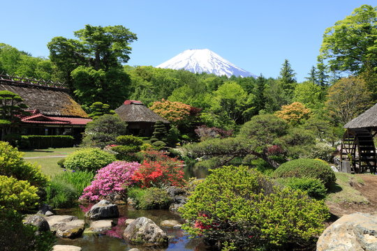初夏の富士山