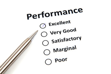 Performance evaluation form