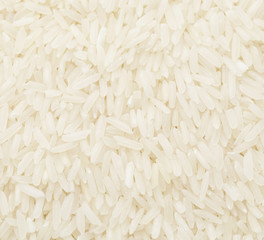 Uncooked white rice close up