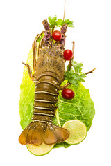 Raw spiny lobsters