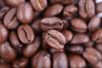 roasted coffee beans
