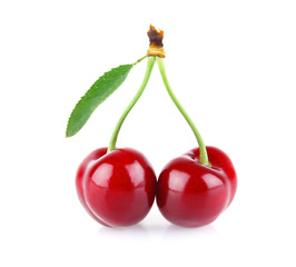 ripe juicy cherry with drop dew and green leaves