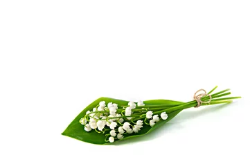 Fototapete Bunch of white flowers of Lily of the Valley with a green leaf © longtaildog