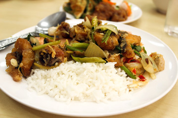 Curry over Rice