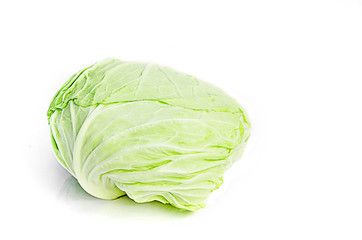 Fototapeta premium Cabbage