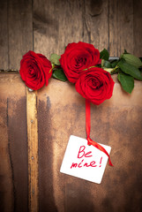 Three Red Roses on an old Suitcase with the Message