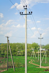 Fototapeta na wymiar many straight electrical pole with wire. Rural view