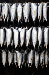 Harengs fum&eacute;s traditionnels