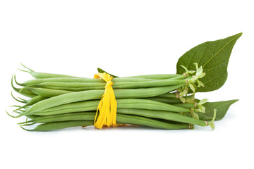 Green beans isolated_VI