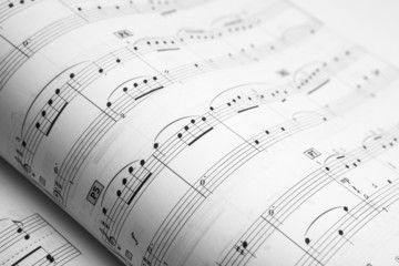 Naklejka premium open musical book