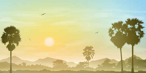 Fototapeta na wymiar A Misty Landscape with Palm Trees and Sunset, Sunrise