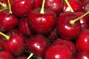 Ciliegie 