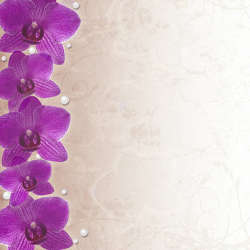 orchids border