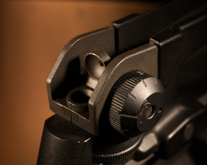 Adjustable rear sight