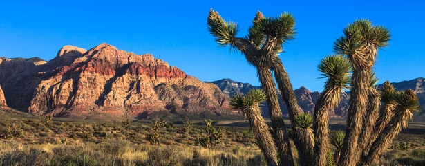 Zelfklevend Fotobehang Nevada Desert © nstanev