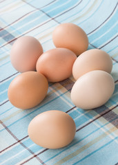 Fresh eggs