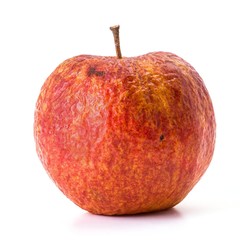 Old apple that is beginning to rot on white background