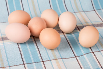 Fresh eggs
