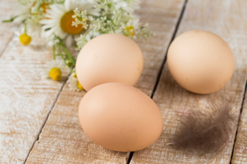 Fresh organic eggs