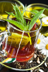 Cup with green tea and green leaves.