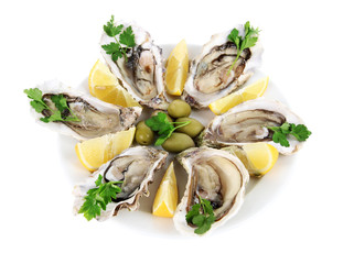 Oysters isolated on white
