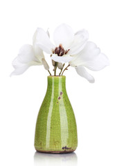 Naklejka premium Beautiful magnolia in vase isolated on white