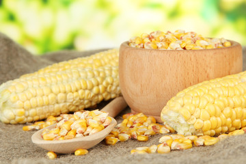 Fresh and dried corn on sackcloth, on bright background