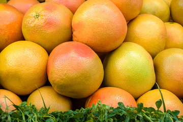 Grapefruit On Market Stand