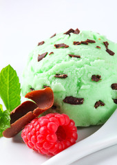 Mint chocolate chip ice cream