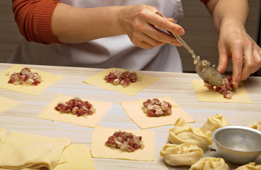 Making Meat Dumplings