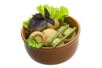 Ripe fresh Champignon